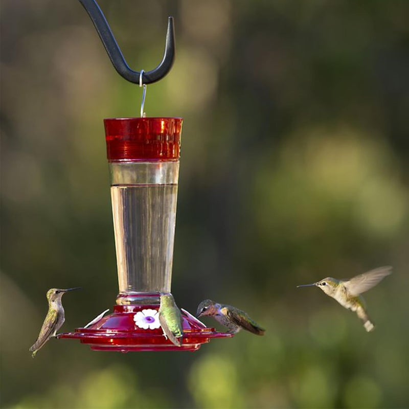 More Birds Ruby Hummingbird Feeder with Glass Nectar Bottle and 4 Feeding Stations - Image 2
